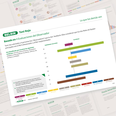Informe Individual De Tonirojo (TAP + OBS)