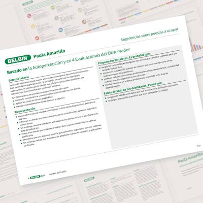 Informe Individual De Paula Amarillo (Sugerencias)