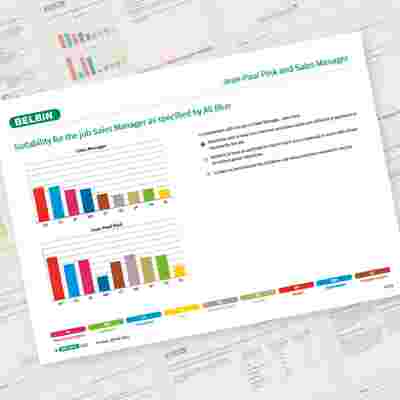 Belbin Job Comparison Report Jean Paul Pink And Sales Manager Showcase 1