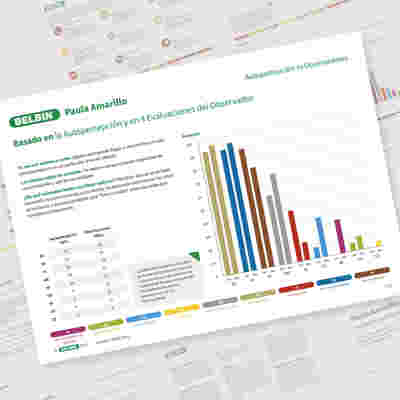 Informe Individual De Paula Amarillo