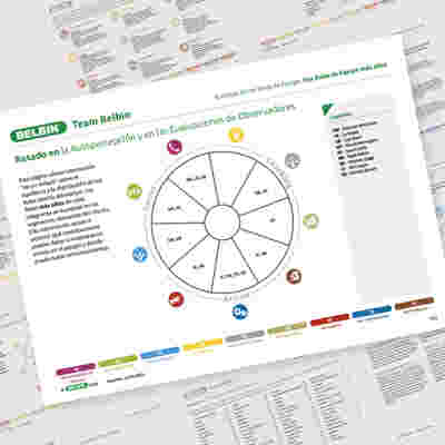 Círculo De Roles De Equipo