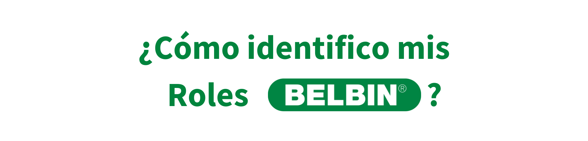 Método Belbin