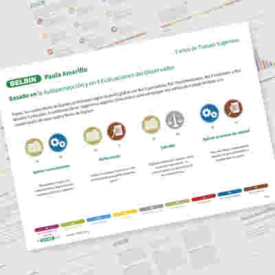 Informe Individual Mezcla Roles mas altos
