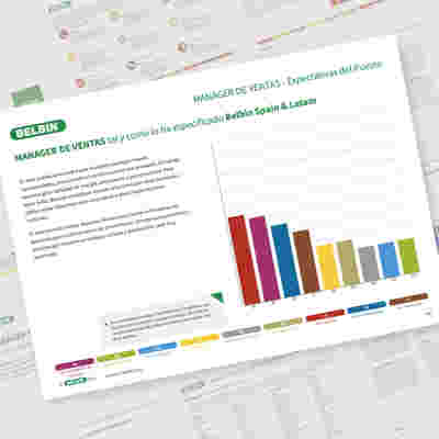 ES Belbin Job Report Sales Manager Job Expectations Showcase