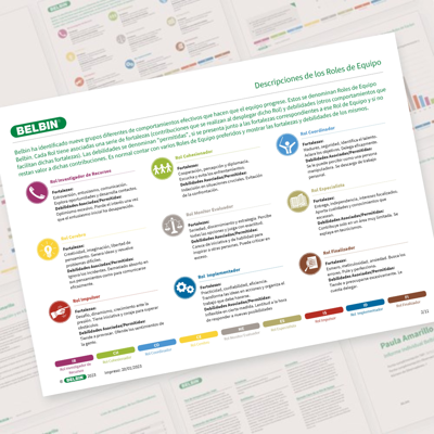 Informe Individual De Paula Amarillo 1